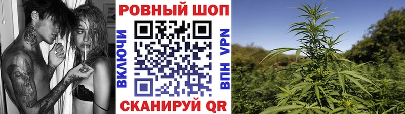 Где можно купить наркотики Курчатов Конопля КОКАИН Alpha-PVP Мефедрон